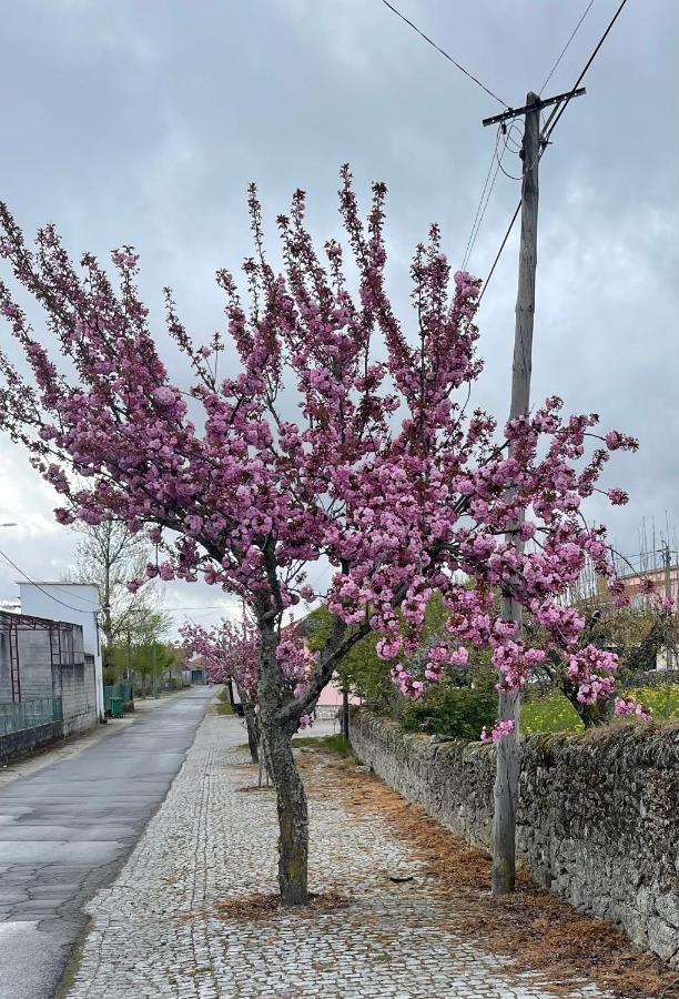 Casa Da Burra Villa Alijó Kültér fotó